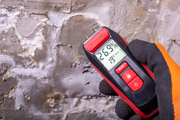 Best Black Mold Removal  in Penryn, CA