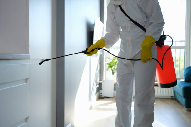 Best Mold Removal Process  in Penryn, CA