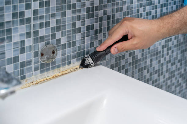 Best Same-Day Mold Removal  in Penryn, CA