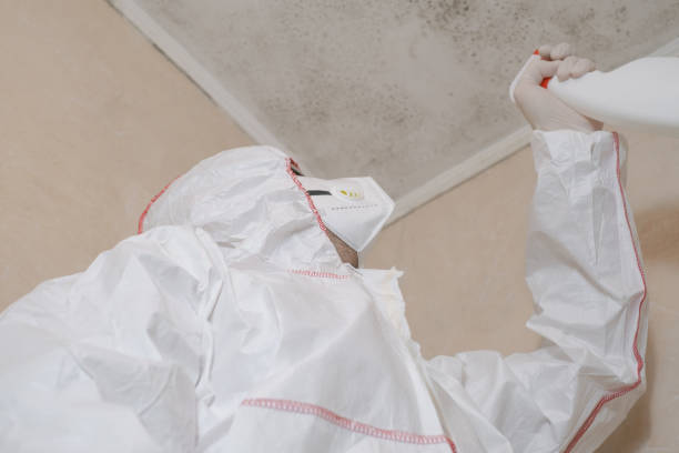 Best Mold Damage Repair  in Penryn, CA