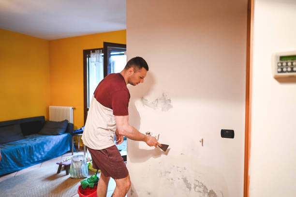 Best Certified Mold Removal  in Penryn, CA