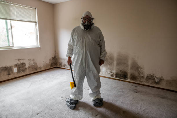 Professional Mold Removal in Penryn, CA